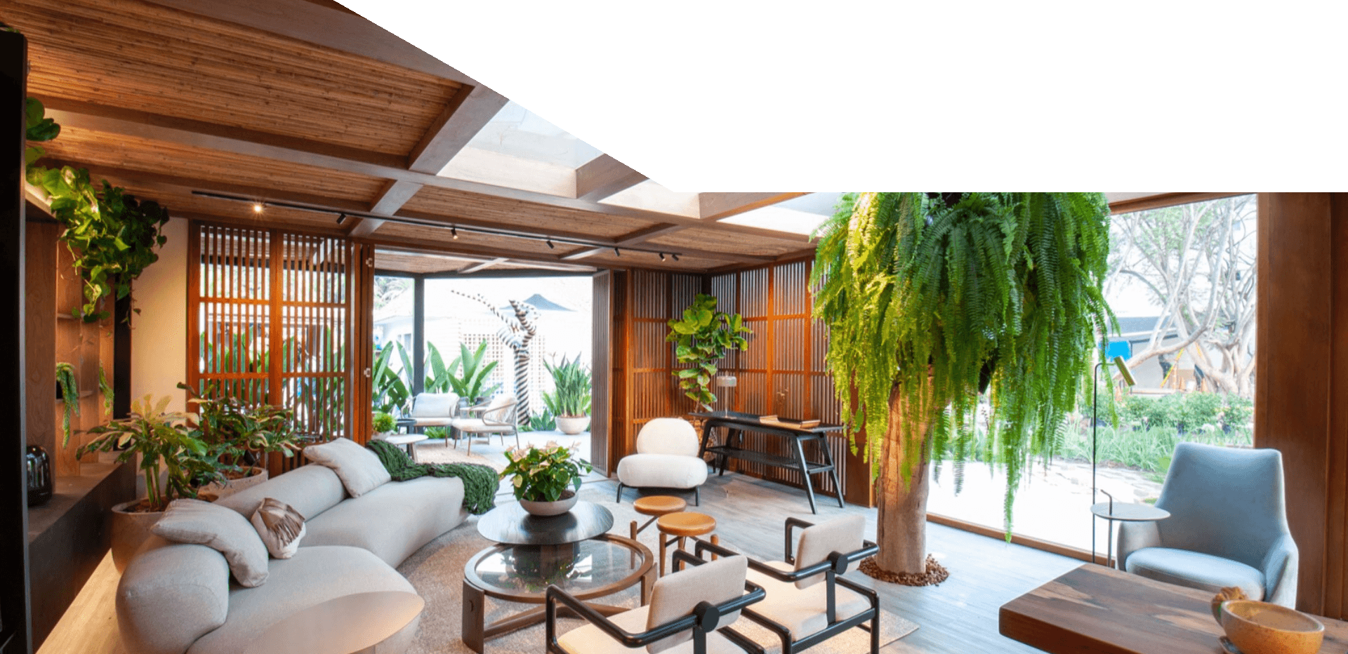 Full Width Experience